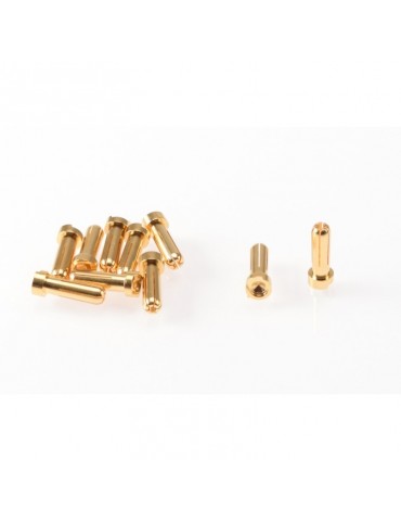 5mm Gold Plug Male (10pcs)