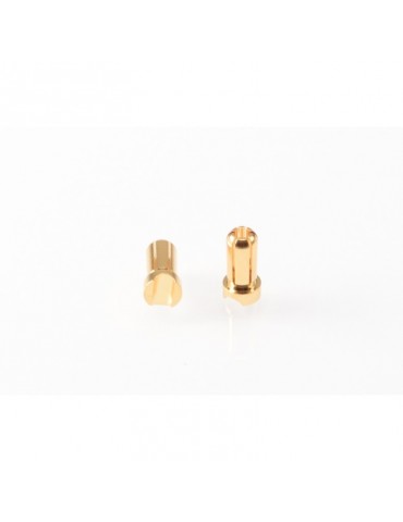 5mm Gold Plug Male Short (2 pcs)