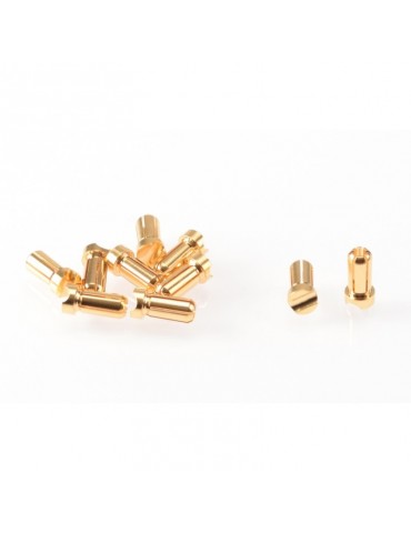 5mm Gold Plug Male Short (10pcs)