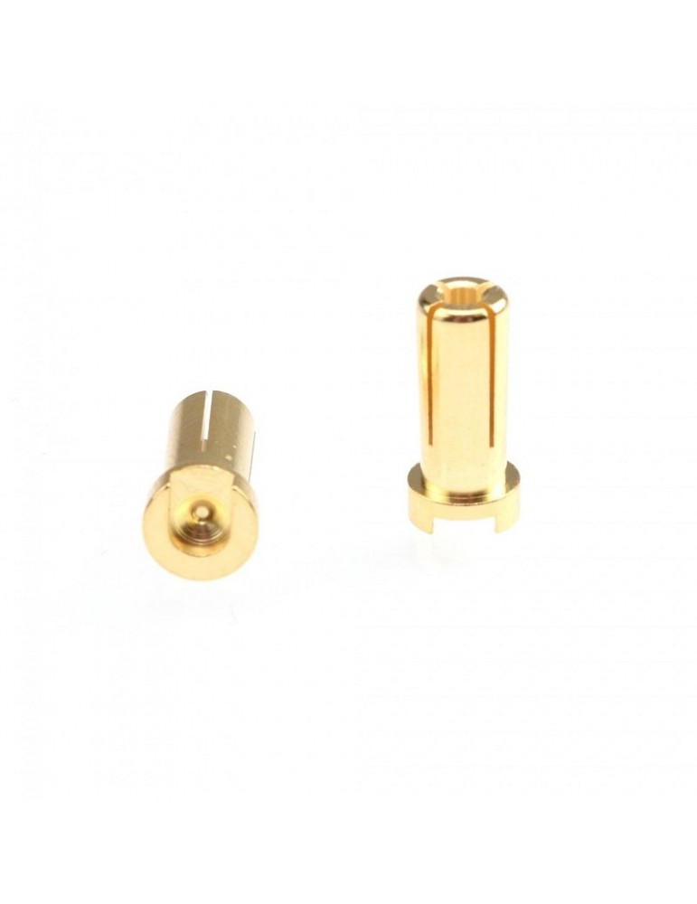 5mm Gold Plug Male 14mm (2pcs)
