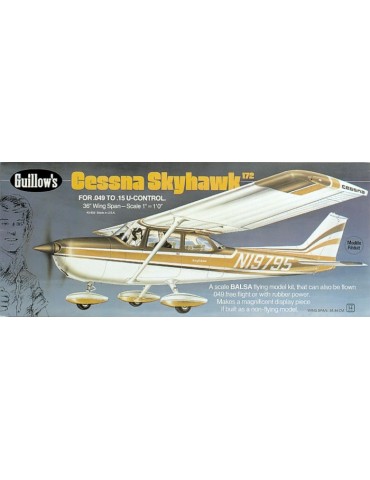 Cessna skyhawk