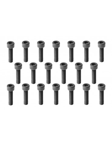 Hex.SocketHeadCapScrew M3x12mm, 20 Pcs.