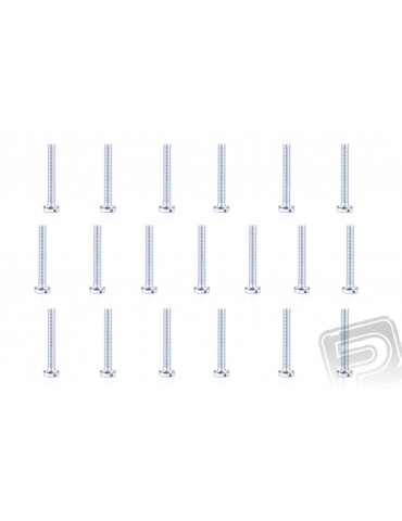 Slotted Cheese Head Bolt M3x20mm, 20 pcs