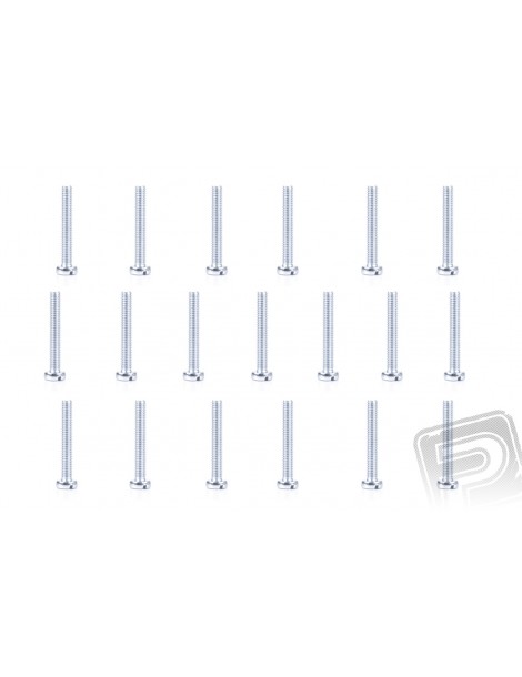 Slotted Cheese Head Bolt M3x20mm, 20 pcs