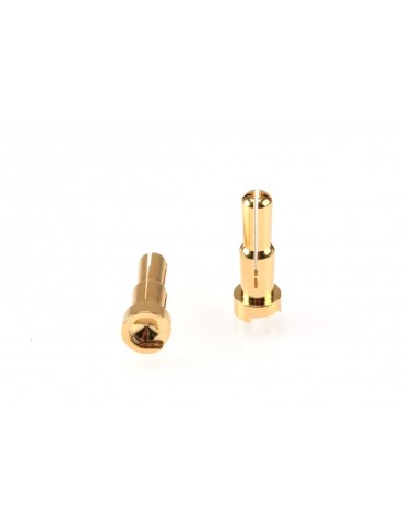 4/5mm Dual Bullet Gold Plug Male (2 pcs)