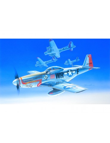 Academy North American P-51D (1:72)