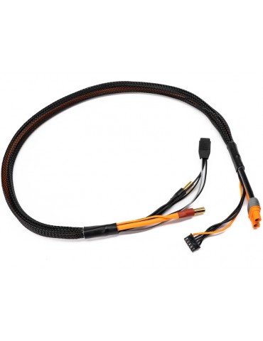 Spektrum Pro Series Race 4s Charge Cable: IC3/5mm