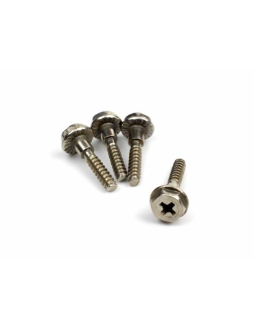 Wheel Lock Bolts (4pcs)