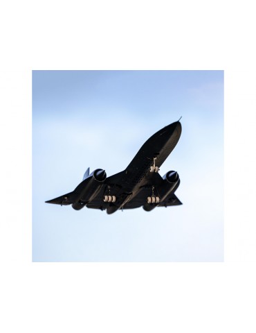 E-flite SR-71 Blackbird 0.96m AS3X SAFE Select BNF Basic