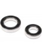 Losi Steer Shaft Sealed Bearing Set: PM-MX