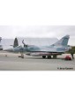Revell Dassault Mirage 2000C (1:48)