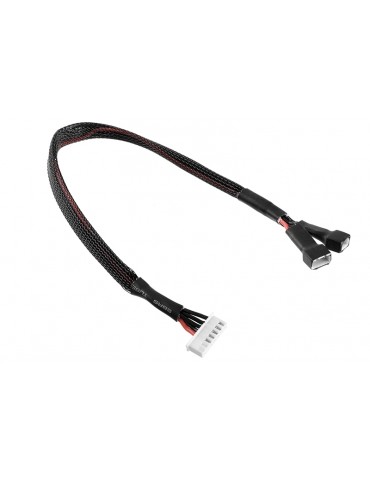 Balancer Lead 2X 2S - Battery 2X 2S XH Connector - Charger 6S XH Connector - Silicone Wire