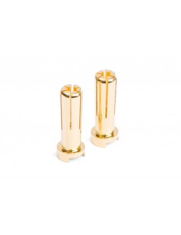 MIBO Gold Plugs - 5mm (2pcs)