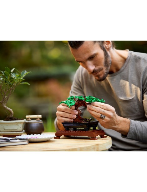 LEGO Creator - Bonsaj