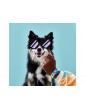 LEGO DOTs - My Pets Bracelet