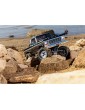 Traxxas TRX4-M Ford F-150 1979 1:18 RTR black