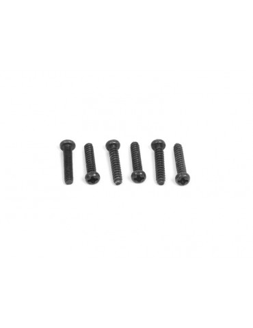 Button head screw 2X10mm (6pcs)