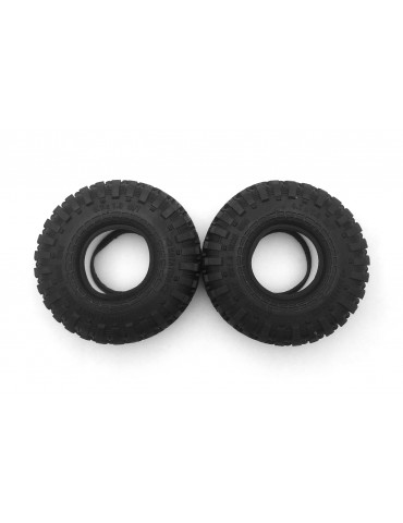 Tire W/Foam (2pcs)