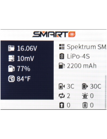 Spektrum Smart Checker XBC100