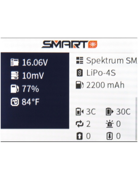 Spektrum Smart Checker XBC100