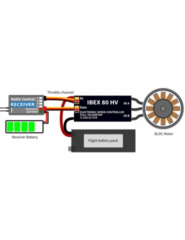 IBEX 80HV Opto ESC