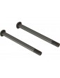 Arrma Screw Hinge Pin M4x48mm (2)