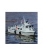 Proboat PCF Mark I 24" Swift Patrol Craft RTR