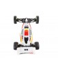 Losi 1/16 Mini-B Buggy Brushless RTR red
