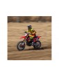 Losi 1/4 Promoto-MX RTR Basic FXR
