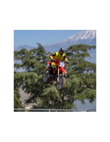 Losi 1/4 Promoto-MX RTR Basic FXR
