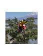 Losi 1/4 Promoto-MX RTR Basic FXR
