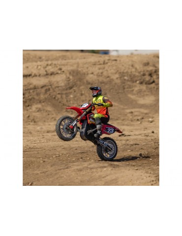 Losi 1/4 Promoto-MX RTR Basic FXR
