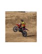 Losi 1/4 Promoto-MX RTR Basic FXR