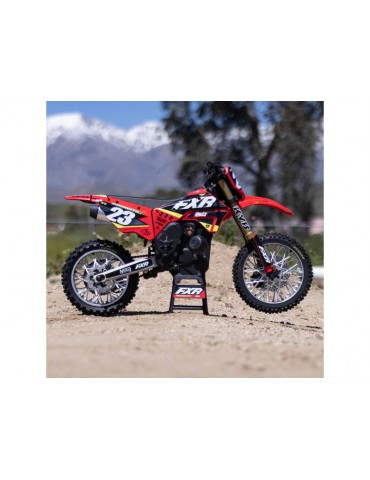 Losi 1/4 Promoto-MX RTR Basic FXR