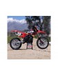 Losi 1/4 Promoto-MX RTR Basic FXR