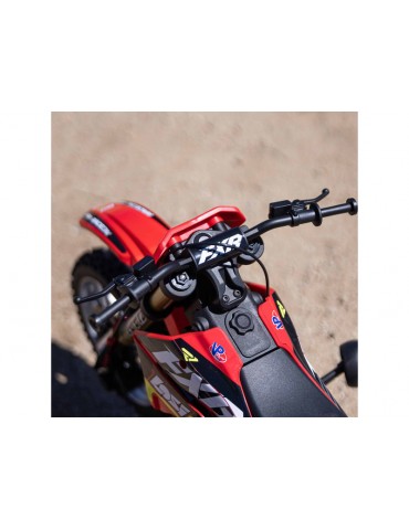 Losi 1/4 Promoto-MX RTR Basic FXR
