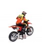 Losi 1/4 Promoto-MX RTR Basic FXR