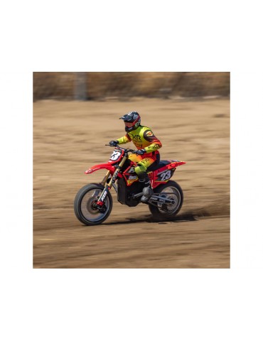 Losi 1/4 Promoto-MX RTR Basic Club MX