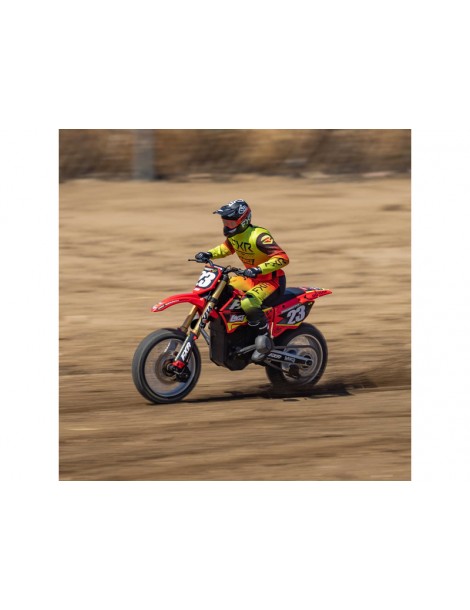 Losi 1/4 Promoto-MX RTR Basic Club MX