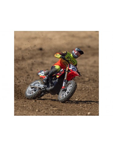 Losi 1/4 Promoto-MX RTR Basic Club MX