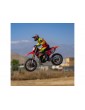 Losi 1/4 Promoto-MX RTR Basic Club MX