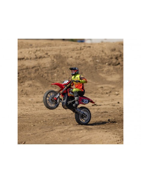 Losi 1/4 Promoto-MX RTR Basic Club MX