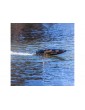 Proboat Recoil 2 V2 26" BL RTR Shreddy