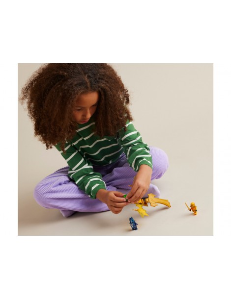 LEGO Ninjago - Arin's Rising Dragon Strike