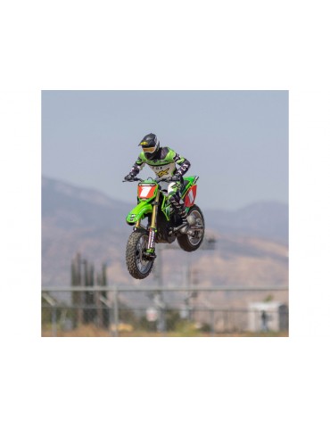 Losi Promoto-MX 1:4 RTR Pro Circuit