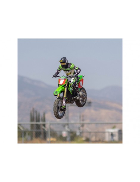 Losi Promoto-MX 1:4 RTR Pro Circuit