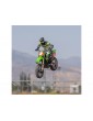 Losi Promoto-MX 1:4 RTR Pro Circuit