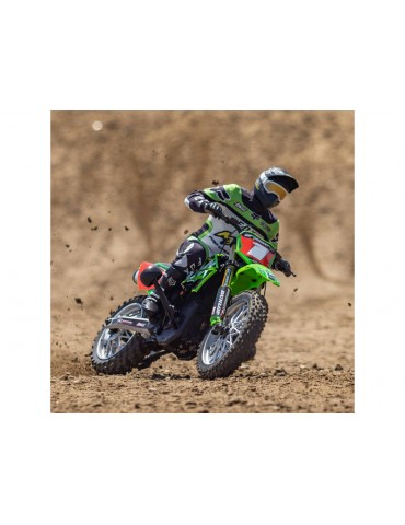 Losi Promoto-MX 1:4 RTR Pro Circuit