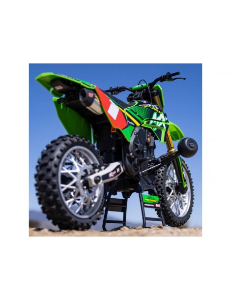 Losi Promoto-MX 1:4 RTR Pro Circuit