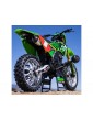 Losi Promoto-MX 1:4 RTR Pro Circuit